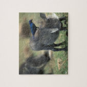 南アフリカ、ピラネスバーグGR、ワルソグ ジグソーパズル (縦)