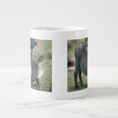 南アフリカ、ピラネスバーグGR、ワルソグ ジャンボコーヒーマグカップ (正面)