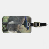 南アフリカ、ピラネスバーグGR、ワルソグ ラゲッジタグ (正面横)