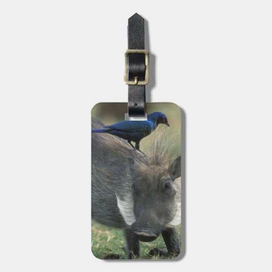 南アフリカ、ピラネスバーグGR、ワルソグ ラゲッジタグ (正面縦)