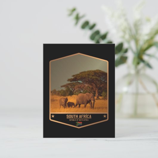 南アフリカ ポストカード (スタンド正面)