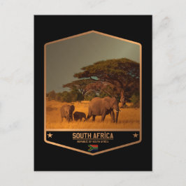 南アフリカ ポストカード