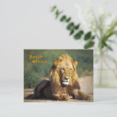 南アフリカ ポストカード (スタンド正面)