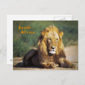 南アフリカ ポストカード (正面/裏面)