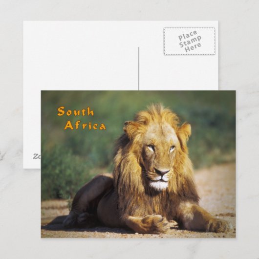 南アフリカ ポストカード (正面/裏面)