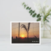 南アフリカ ポストカード (スタンド正面)