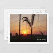 南アフリカ ポストカード (正面/裏面)