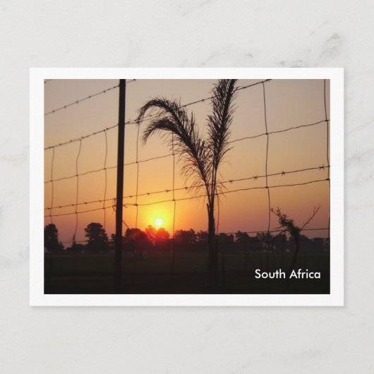 南アフリカ ポストカード (正面)