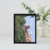 南アフリカ ポストカード (スタンド正面)