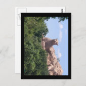 南アフリカ ポストカード (正面/裏面)