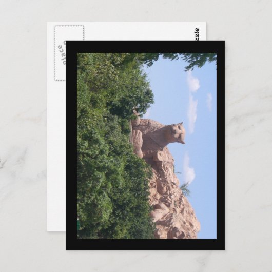 南アフリカ ポストカード (正面/裏面)