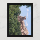 南アフリカ ポストカード (正面)