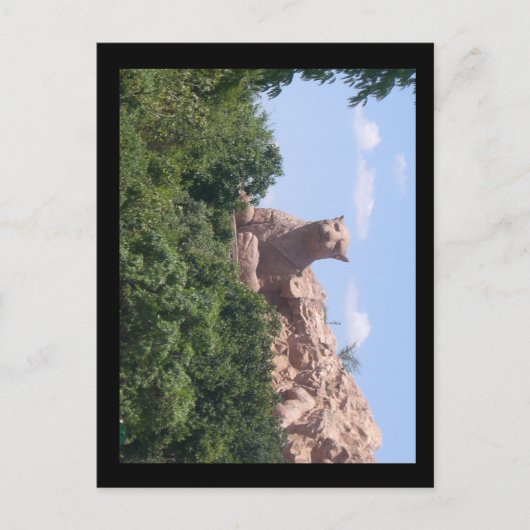 南アフリカ ポストカード (正面)