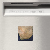 南アフリカ マグネット (インサイチュ (食洗機))