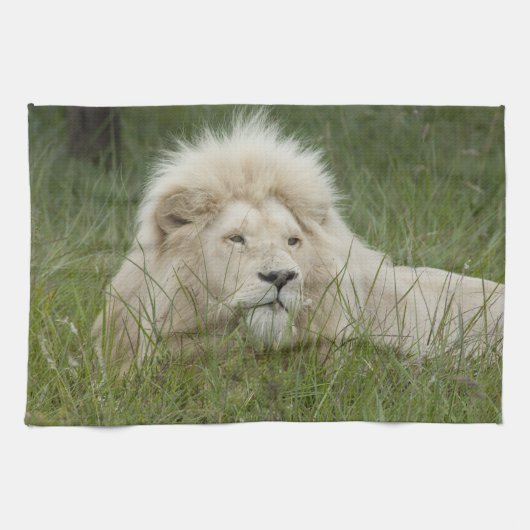 南アフリカ、東ロンドン、Inkwenkwezi Private キッチンタオル (横)