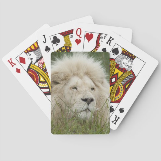 南アフリカ、東ロンドン、Inkwenkwezi Private トランプ (裏面)