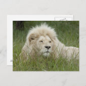 南アフリカ、東ロンドン、Inkwenkwezi Private ポストカード (正面/裏面)