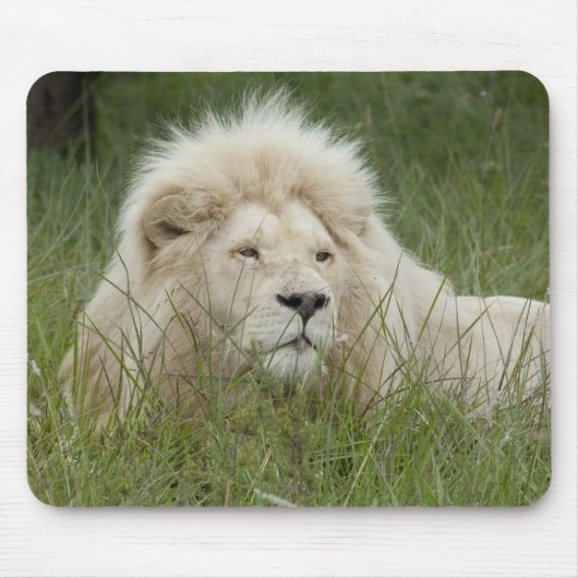 南アフリカ、東ロンドン、Inkwenkwezi Private マウスパッド (正面)