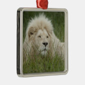 南アフリカ、東ロンドン、Inkwenkwezi Private メタルオーナメント (右)