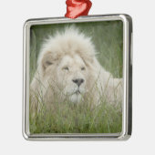 南アフリカ、東ロンドン、Inkwenkwezi Private メタルオーナメント (左)