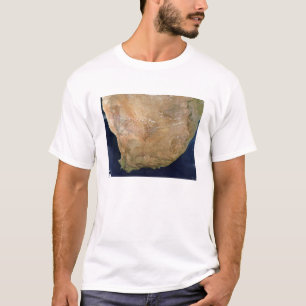 南アフリカ Tシャツ