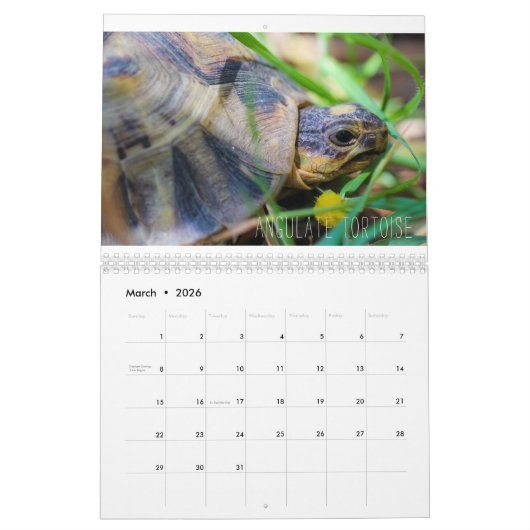 南アフリカZA動物野生の国内 カレンダー (3月 2026)