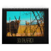 南アフリカZA動物野生の国内 カレンダー (カバー)