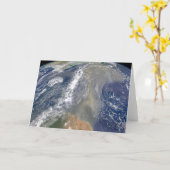 南アメリカに向かう塵 カード (黄色い花)