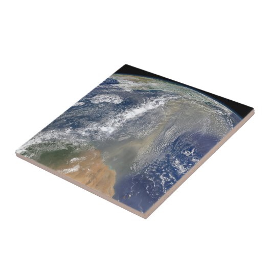 南アメリカに向かう塵 タイル (側面)