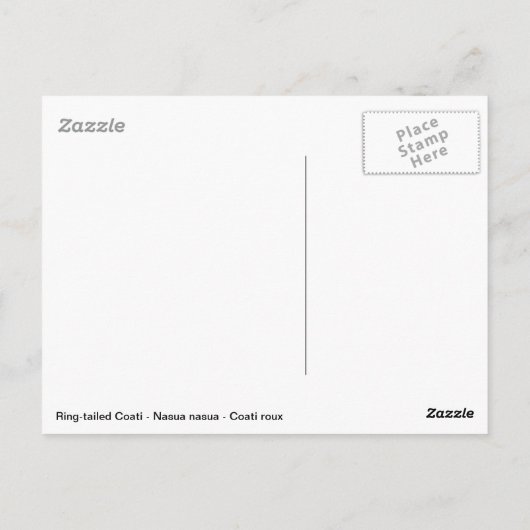 南アメリカのコアティの木 ポストカード (裏面)