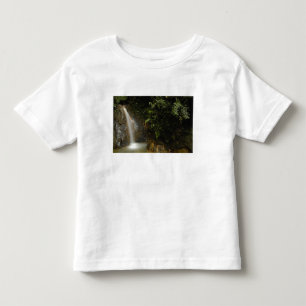 南アメリカ、エクアドル、アンデスの東斜面 トドラーTシャツ