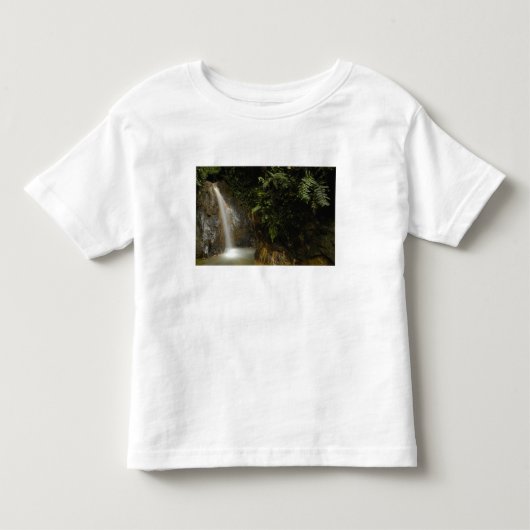 南アメリカ、エクアドル、アンデスの東斜面 トドラーTシャツ (正面)