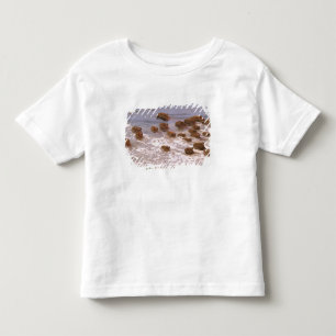 南アメリカ、ベネズエラ、ジャノス地域 トドラーTシャツ