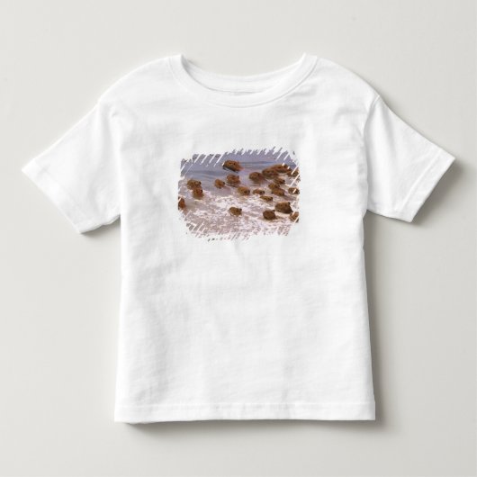 南アメリカ、ベネズエラ、ジャノス地域 トドラーTシャツ (正面)