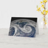 南アラスカ海岸とアラスカ湾。 カード (黄色い花)