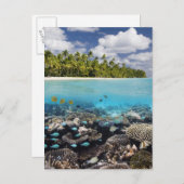南アリ島のトロピカルラグーン ポストカード (正面/裏面)