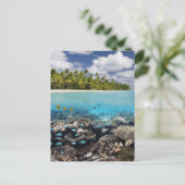 南アリ島のトロピカルラグーン ポストカード (スタンド正面)