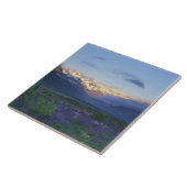 南アーサー峠ルパンと主な分裂 タイル (側面)