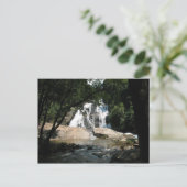 南ア素晴らしフリカの滝 ポストカード (スタンド正面)