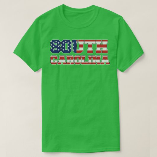 南オリーナ米国国旗 Tシャツ (デザイン正面)