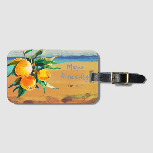 南オレンジ ラゲッジタグ (正面横)