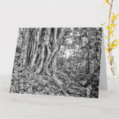 南オーストラリアの熱帯雨林の巨人アートカード カード (黄色い花)