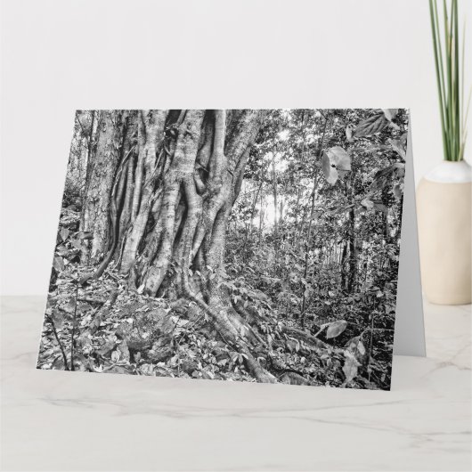 南オーストラリアの熱帯雨林の巨人アートカード カード (正面)