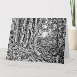 南オーストラリアの熱帯雨林の巨人アートカード カード