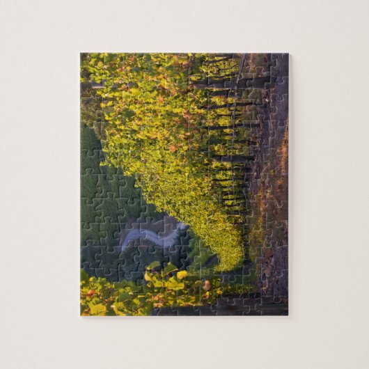 南オーストラリア、アデレードヒルズ、サマータウン。2 ジグソーパズル (縦)