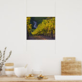 南オーストラリア、アデレード・ヒルズ、サマータウン。2 ポスター (キッチン)