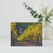 南オーストラリア、アデレード・ヒルズ、サマータウン。2 ポストカード (スタンド正面)