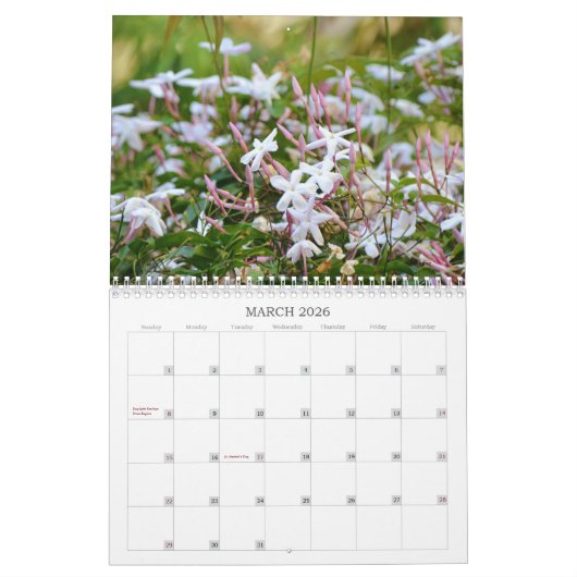 南カリフォルニアのソカル暦の花 カレンダー (3月 2026)