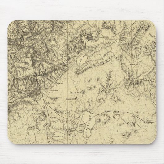 南カリフォルニア マウスパッド (正面)