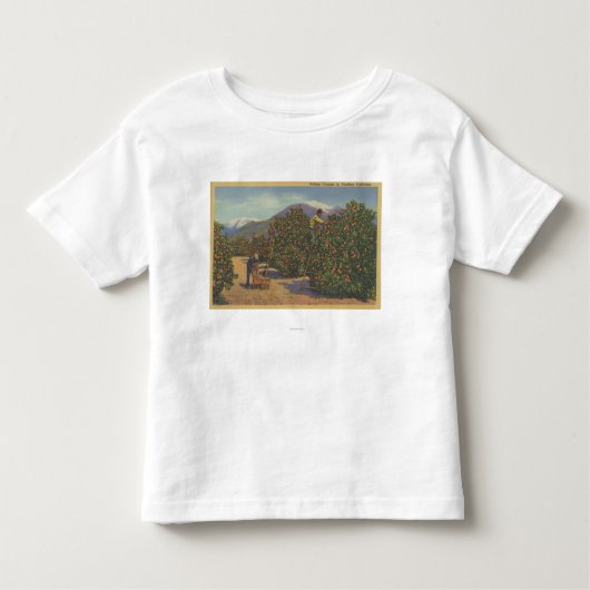 南カリフォルニア-盗品のオレンジ トドラーTシャツ (正面)